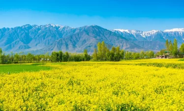 kashmir tour packages
