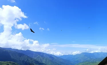 nag tibba trek roamingindian