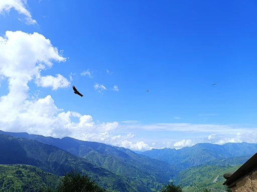 nag tibba trek roamingindian