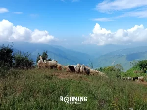 nag tibba trek best time