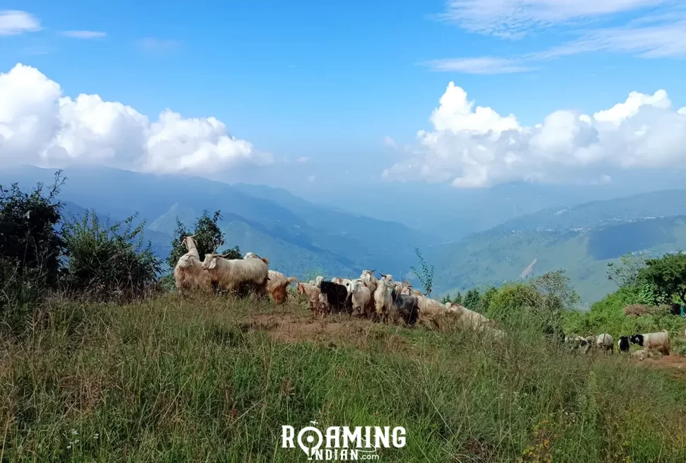 nag tibba trek best time