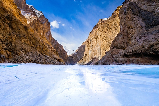 chadar trek